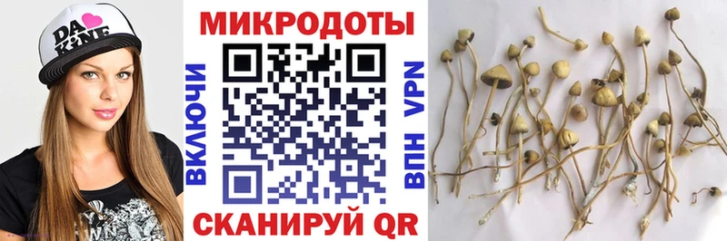 Галлюциногенные грибы GOLDEN TEACHER Красково